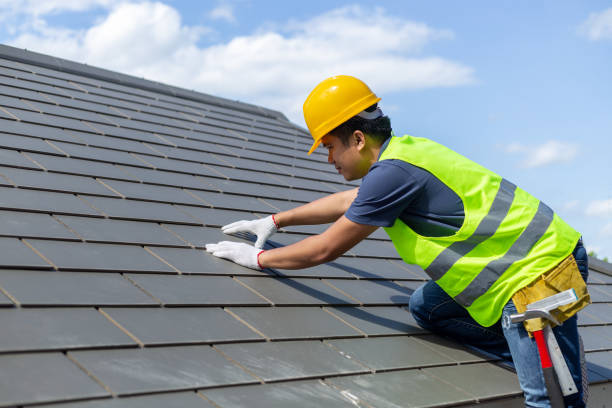 Roof Gutter Cleaning in St Clair, MI