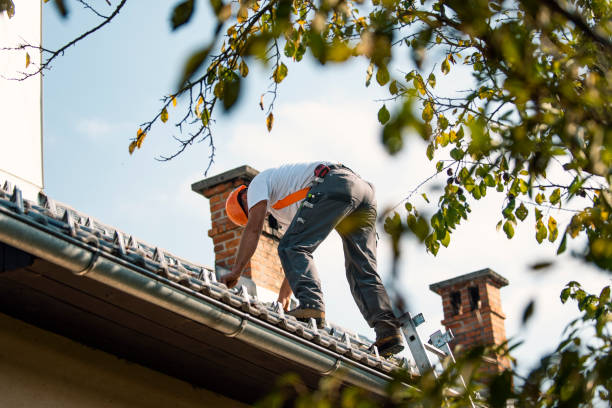 Best Shingle Roofing Installation  in St Clair, MI