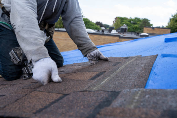 Best Shingle Roofing Installation  in St Clair, MI