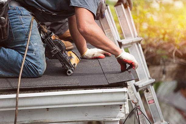 Best Storm Damage Roof Repair  in St Clair, MI
