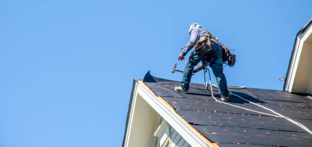 Best Gutter Installation and Roofing  in St Clair, MI